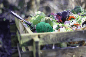 composteur avec sac toutounet bio compost 800